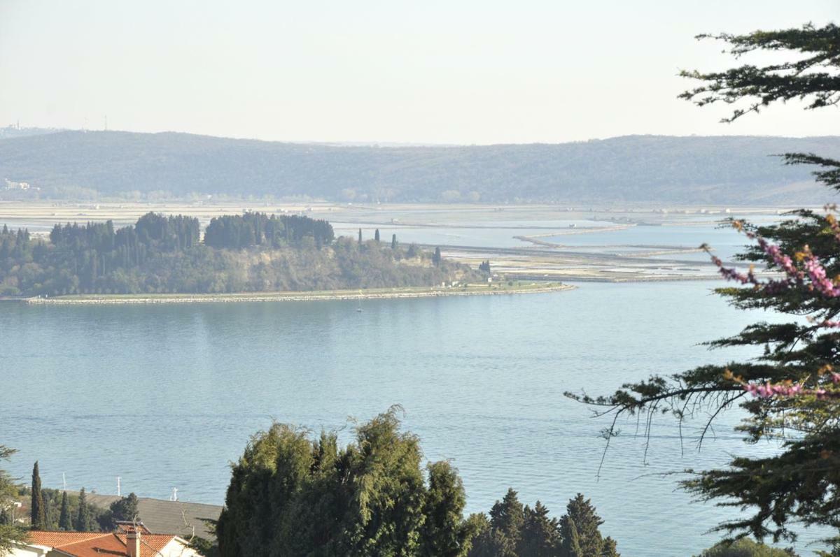 Bbp Apartment Portoroz Exterior foto